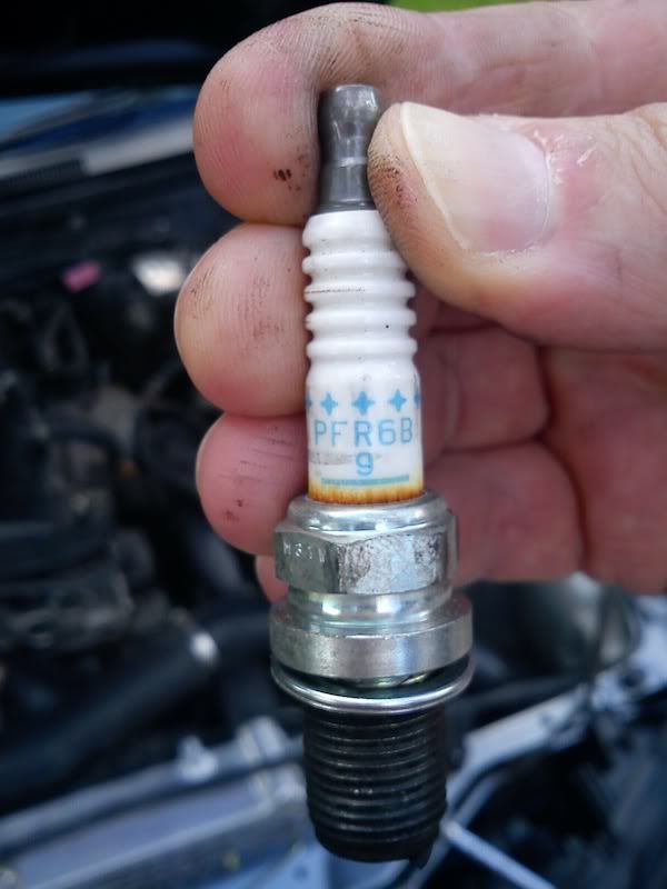 Burnt Spark Plugs! Why?